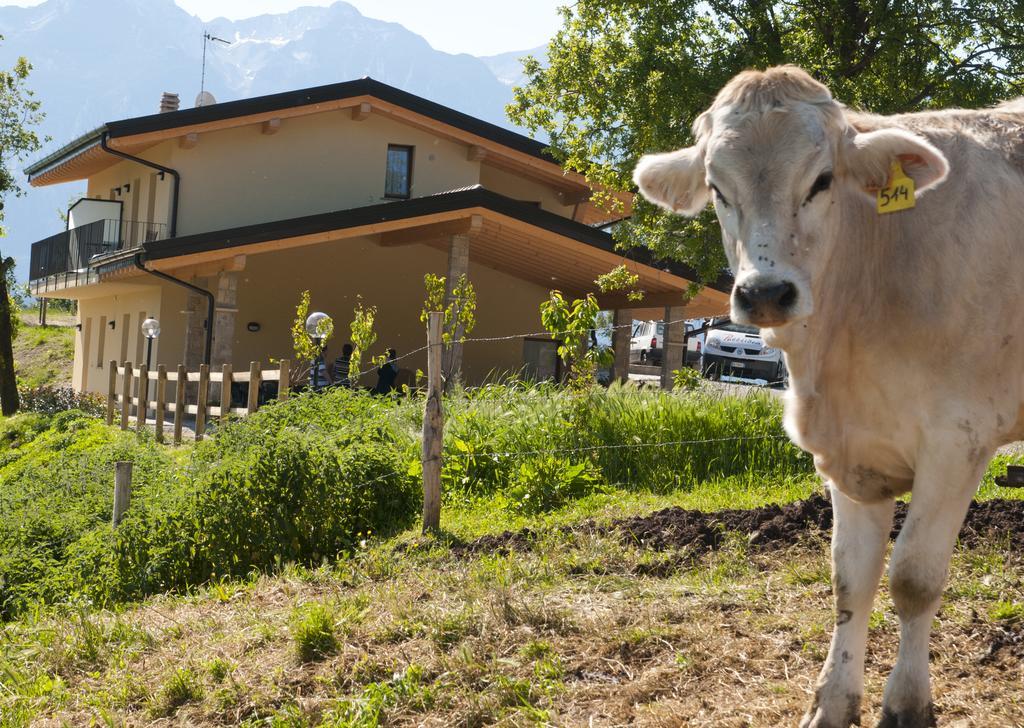 Agriturismo Al Franet Tremosine Buitenkant foto